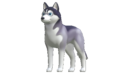 Husky